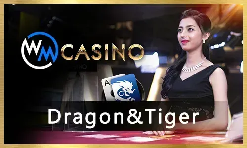 Gaming Provider D Logo